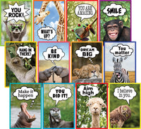 Go Wild Animals Collection