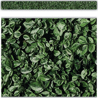 Modern Farmhouse Classroom Decorations