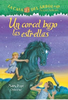 Magic Treehouse Spanish 24 Book Set