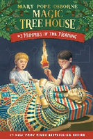 Magic Treehouse English 2 Book Set