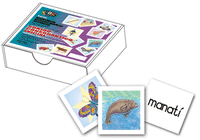 Phonemic Awareness Spanish Card Sets