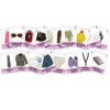 Things To Wear 2 Jumbo Flash Cards Bilingual (English/Spanish) Library Bound Book