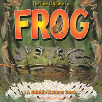 Life Cycle of a Frog Paperback Book