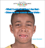 Let's Look At Feelings Bilingual (English/Spanish)