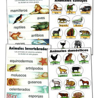 Animal Kingdom Spanish Chart Set