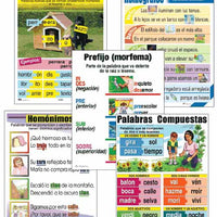 Vocabulary Spanish Laminated Chart Set