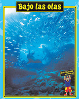 Spanish Big Book Set F Animals