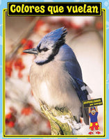Spanish Big Book Set F Animals