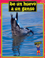 Spanish Big Book Set F Animals