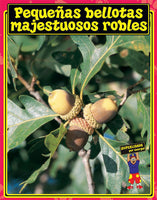 Spanish Big Book Set C Trees