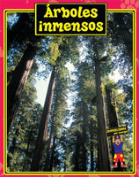Spanish Big Book Set C Trees