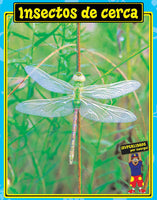Spanish Big Book Set D Insects