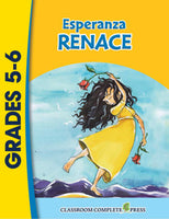 CLASSIC LITERATURE NOVEL GUIDES - SPANISH