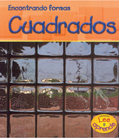 Encontrando formas (Finding Shapes)