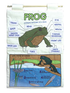 Frog Interactive Wall Chart