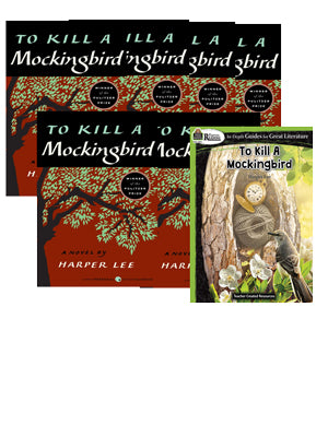 To Kill a Mockingbird 6 Books & Literature Guide