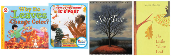 Season Of Change Grade 2 Module 1 Book Collection | National School ...