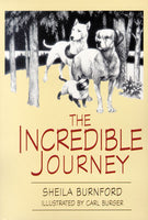 Incredible Journey English Set  (6 Books & Teacher Guide)