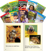 Time for Kids Nonfiction English Book Sets