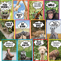 Go Wild Animals Collection