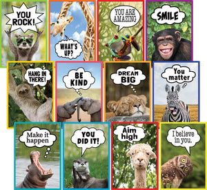 Go Wild Animals Collection