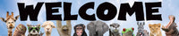 Go Wild Animals Collection
