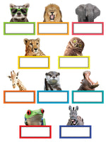 Go Wild Animals Collection
