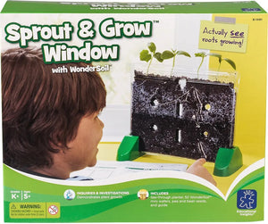 Sprout & Grow Window