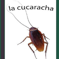 Life Cycles Spanish Paperback Set of 5