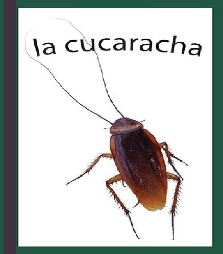 Life Cycles Spanish Paperback Set of 5