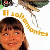 Life Cycles Spanish Paperback Set of 5