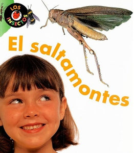 Life Cycles Spanish Paperback Set of 5