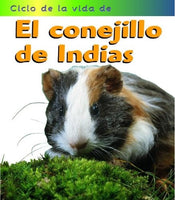 Life Cycles Spanish Paperback Set of 5
