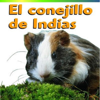 Life Cycles Spanish Paperback Set of 5