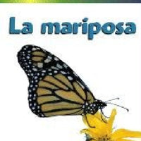 Life Cycles Spanish Paperback Set of 5