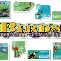 Birds Bulletin Board Set