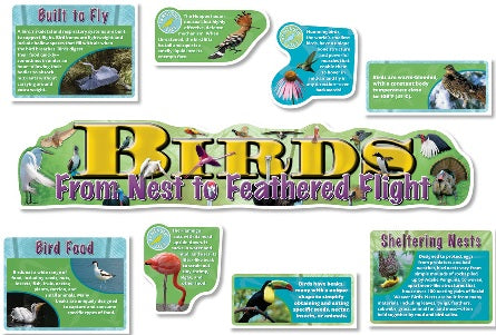 Birds Bulletin Board Set