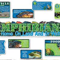 Amphibians Bulletin Board Set