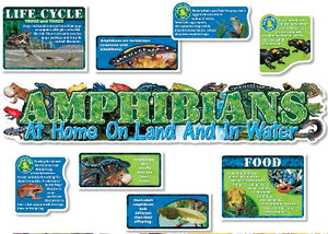 Amphibians Bulletin Board Set