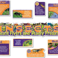 Insects Bulletin Board Set