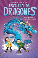 Dragon Masters Spanish Book Set
