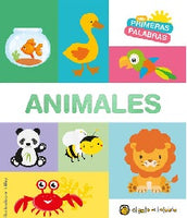 Mt First Word Series Spanish Book Set
