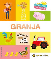 Mt First Word Series Spanish Book Set
