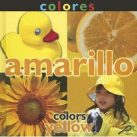 Colors Library Bound and Children's Books