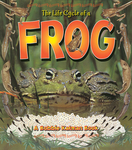 Life Cycle of a Frog Paperback Book