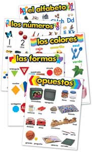 Beginning Concepts Charts Set of 5 in Spanish