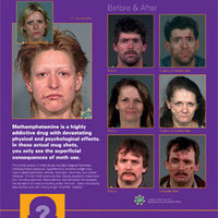 Meth-a-Morphosis Poster Laminated