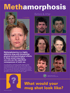 Meth-a-Morphosis Poster Laminated