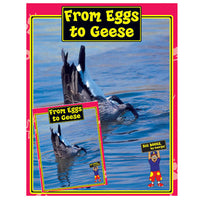 FROM EGGS TO GEESE ENG THEME PACK SET