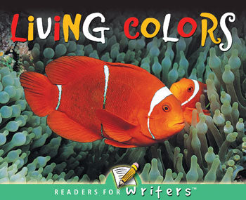 Living Colors English Lap Book